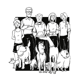 Smartdog šunų dresūros mokykos pamoka Grupinės pamokos 